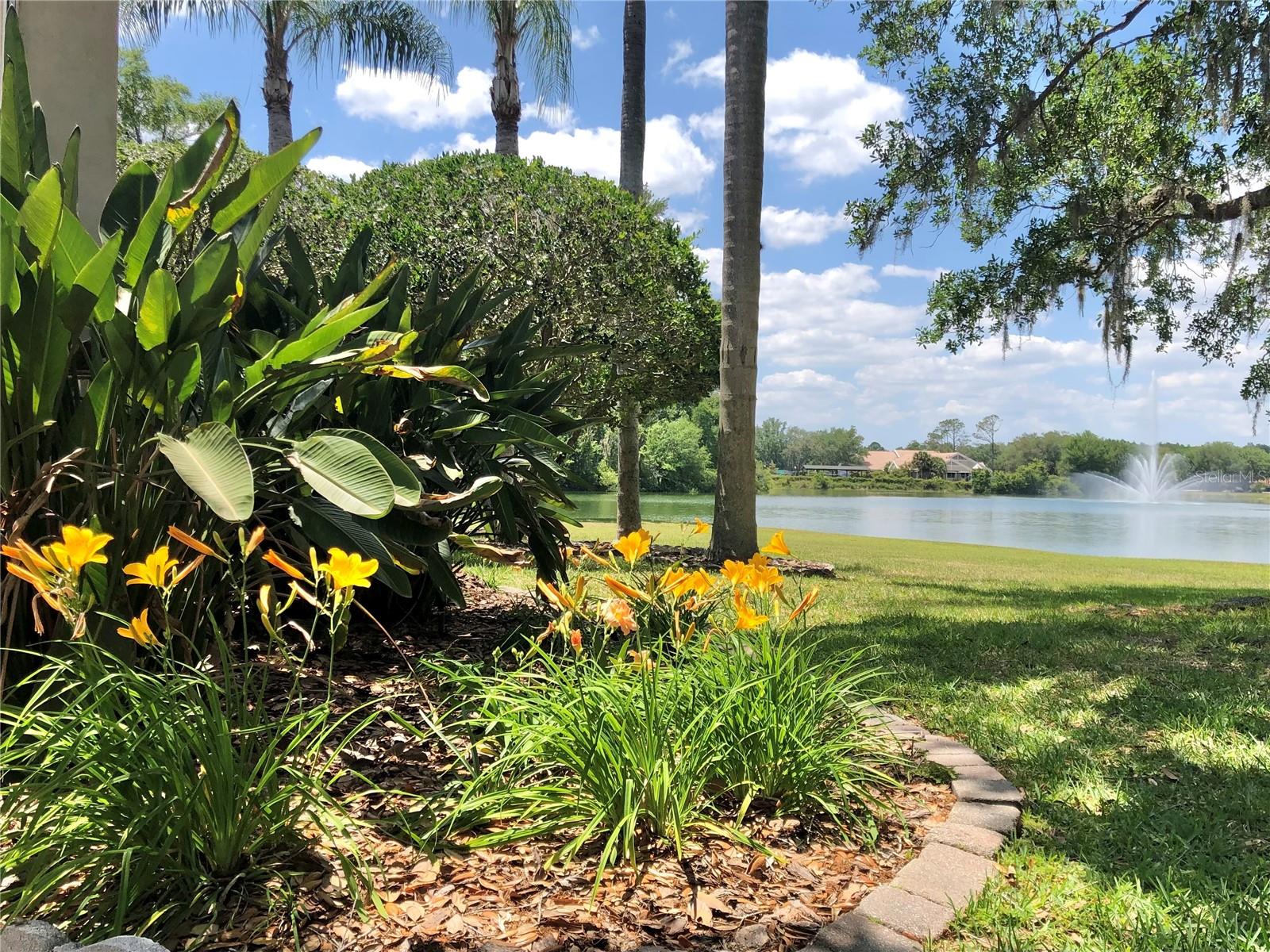 18112 LONGWATER RUN DR