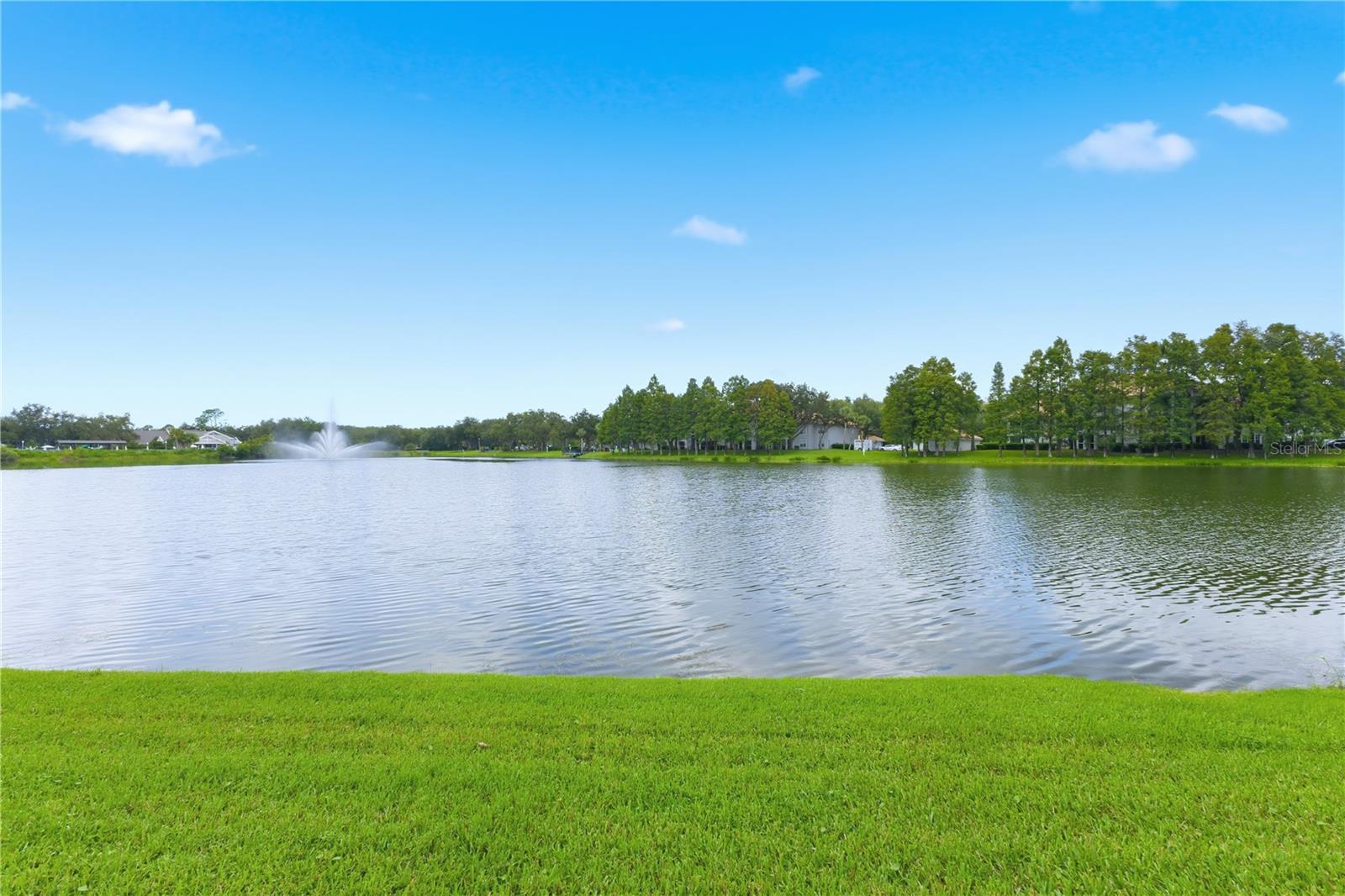 18112 LONGWATER RUN DR