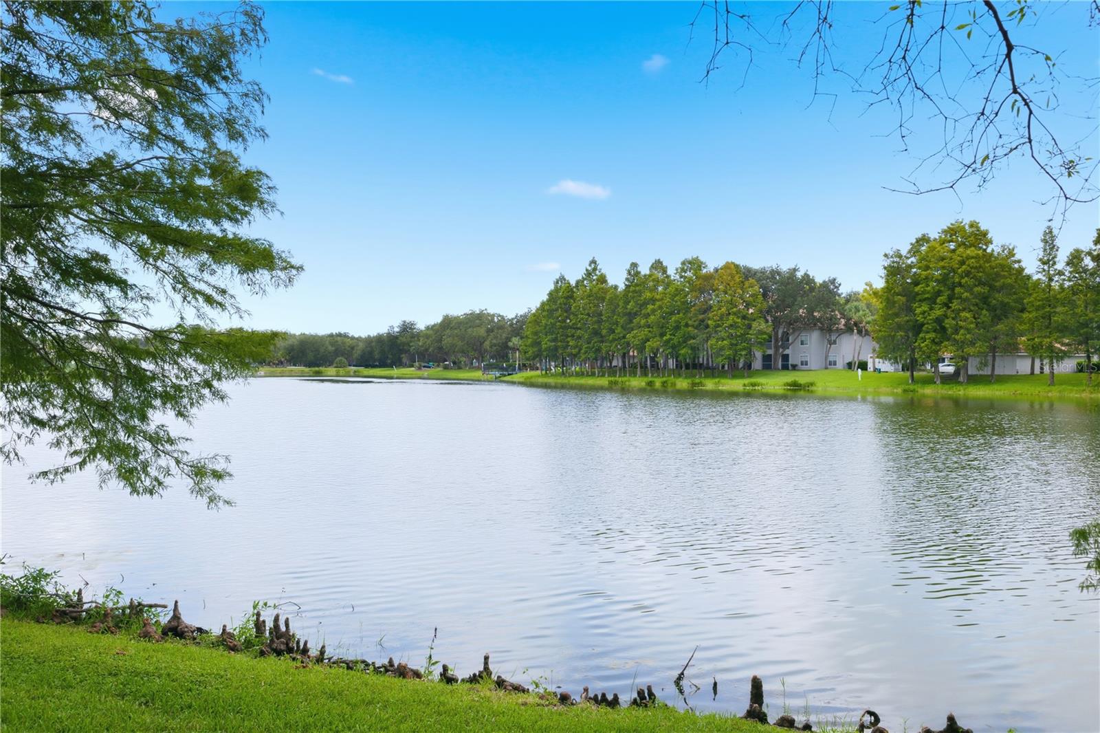 18112 LONGWATER RUN DR