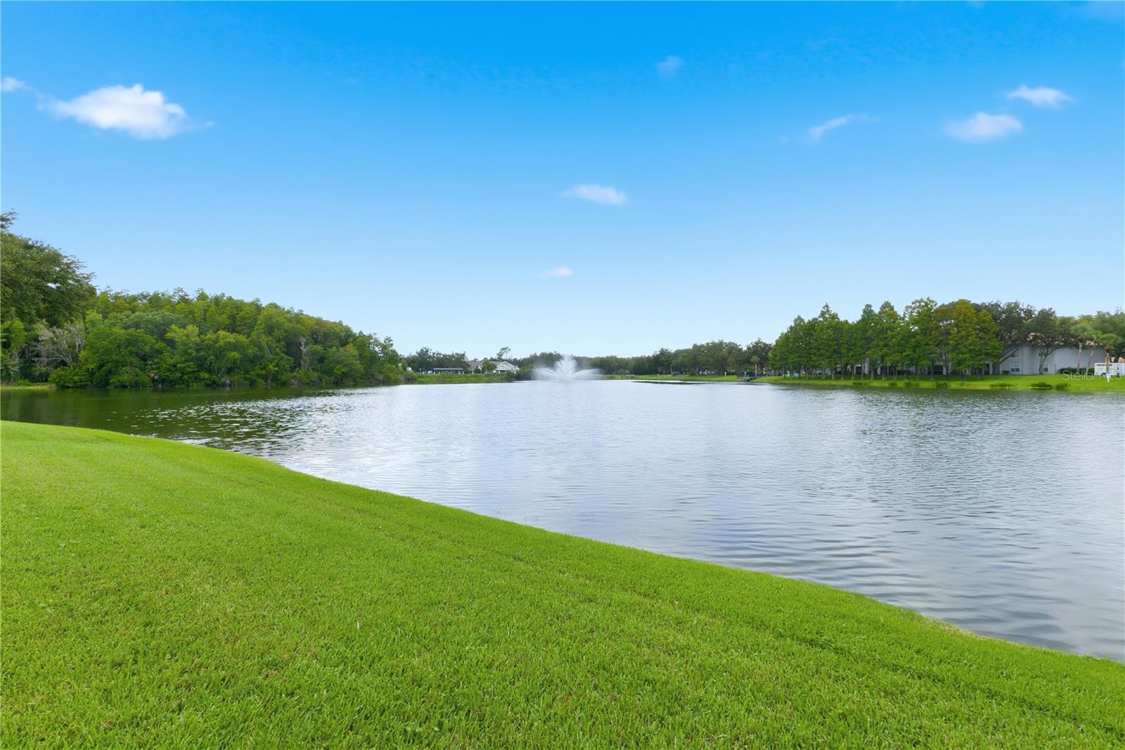 18112 LONGWATER RUN DR