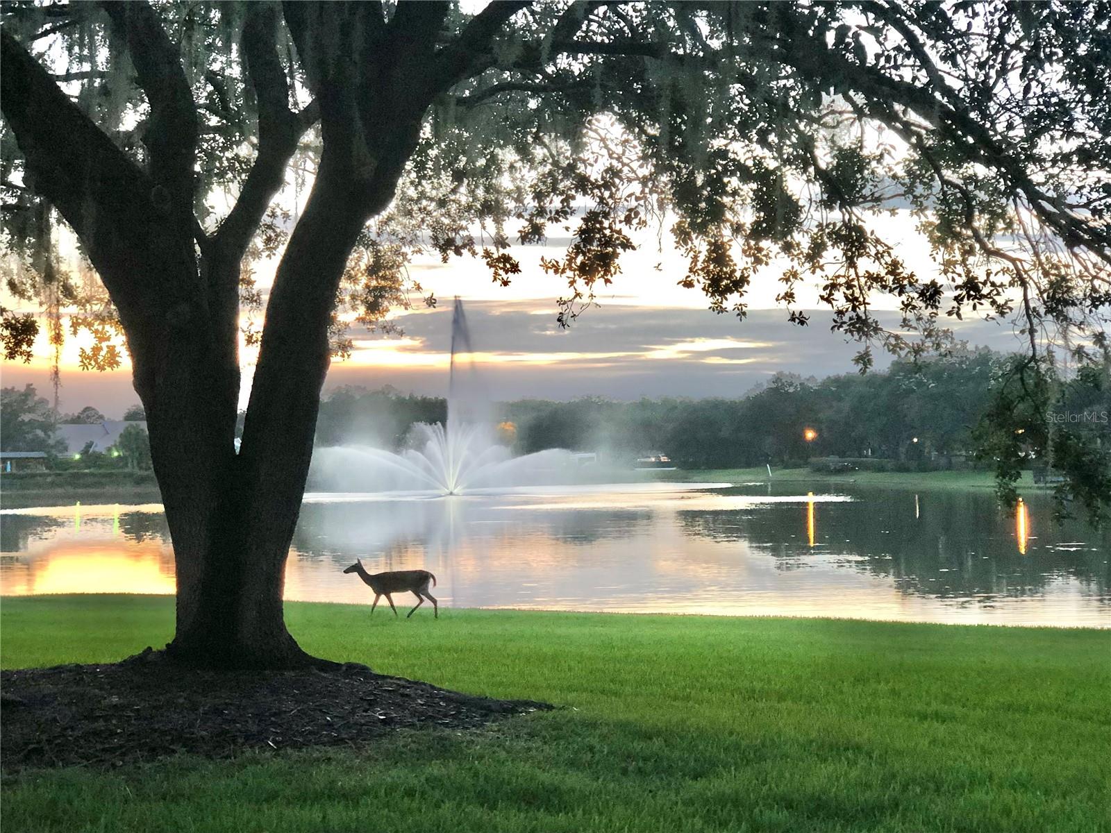 18112 LONGWATER RUN DR