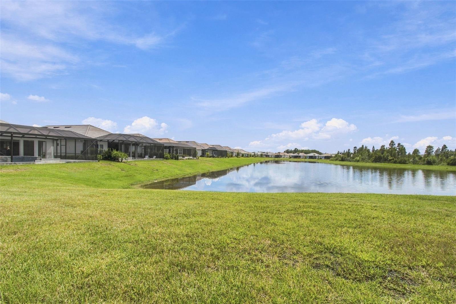 29596 TORICELLI RD