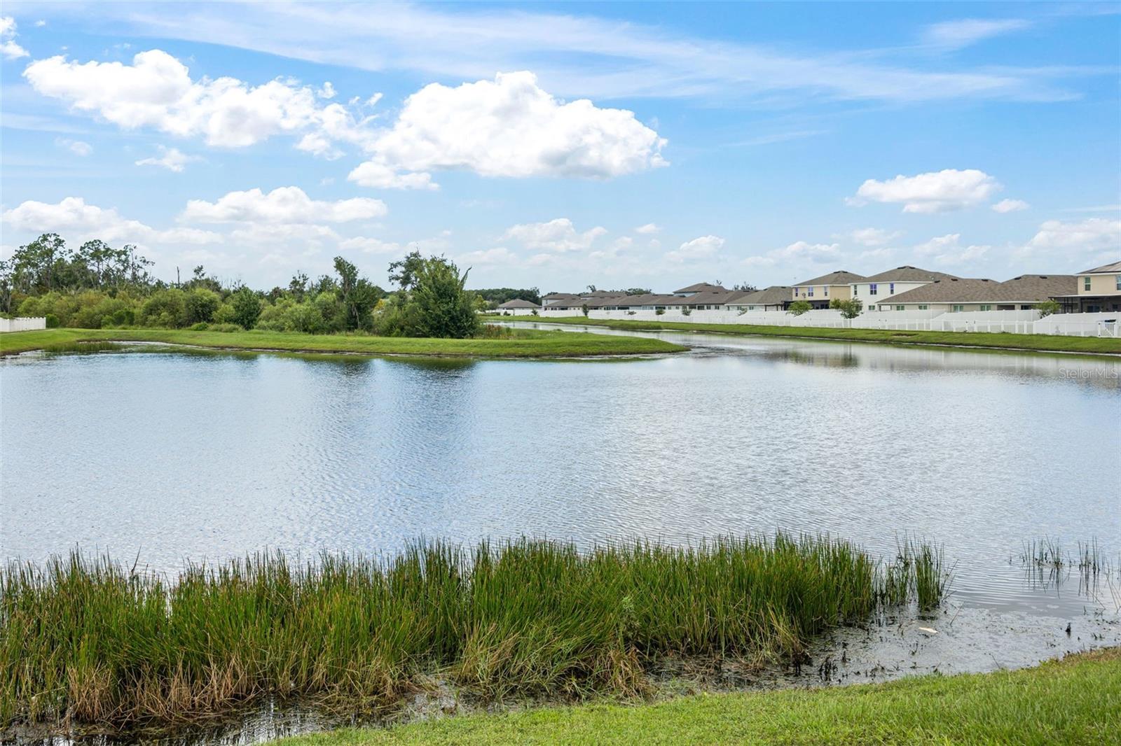 1007 GOLDEN SHINER AVE