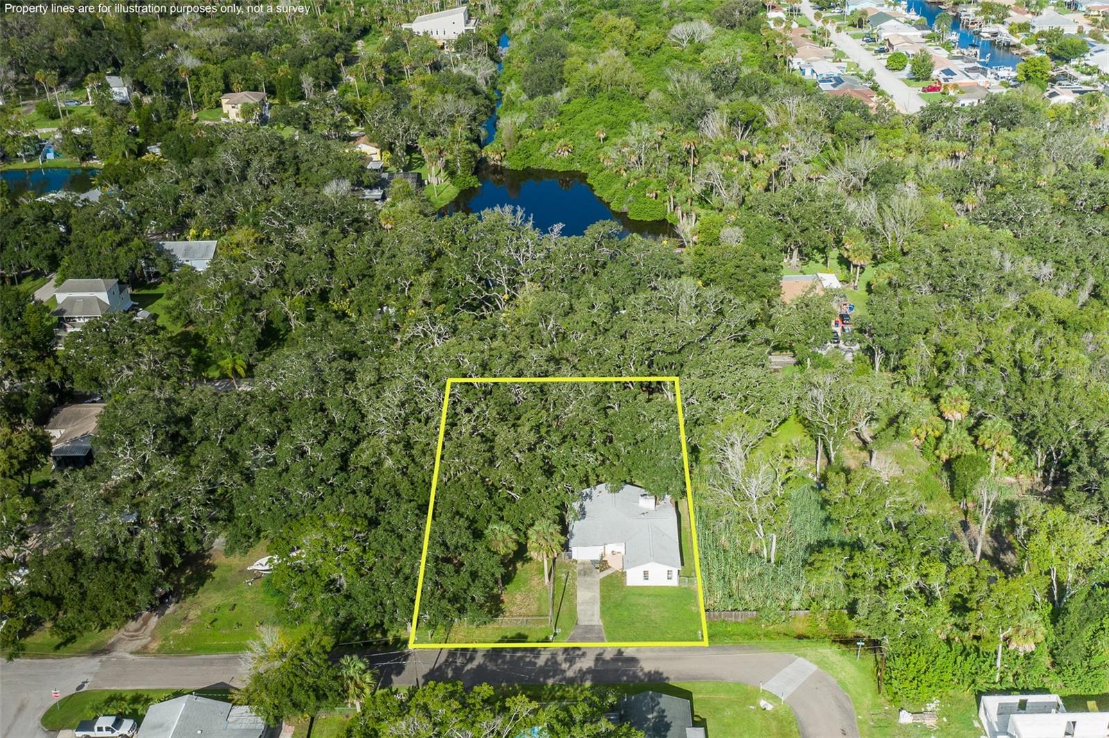 4715 NEEDLE PALM DR