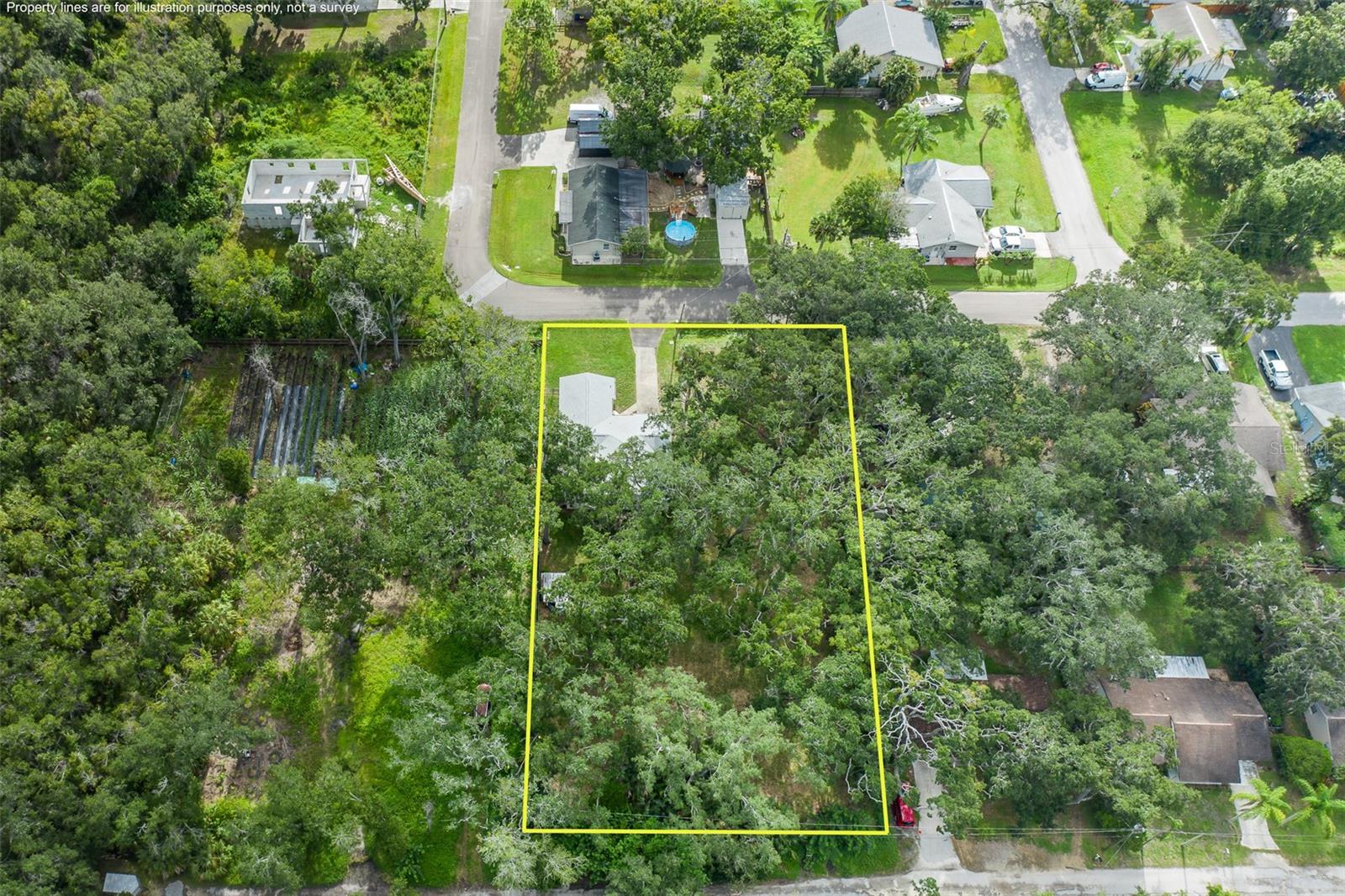 4715 NEEDLE PALM DR