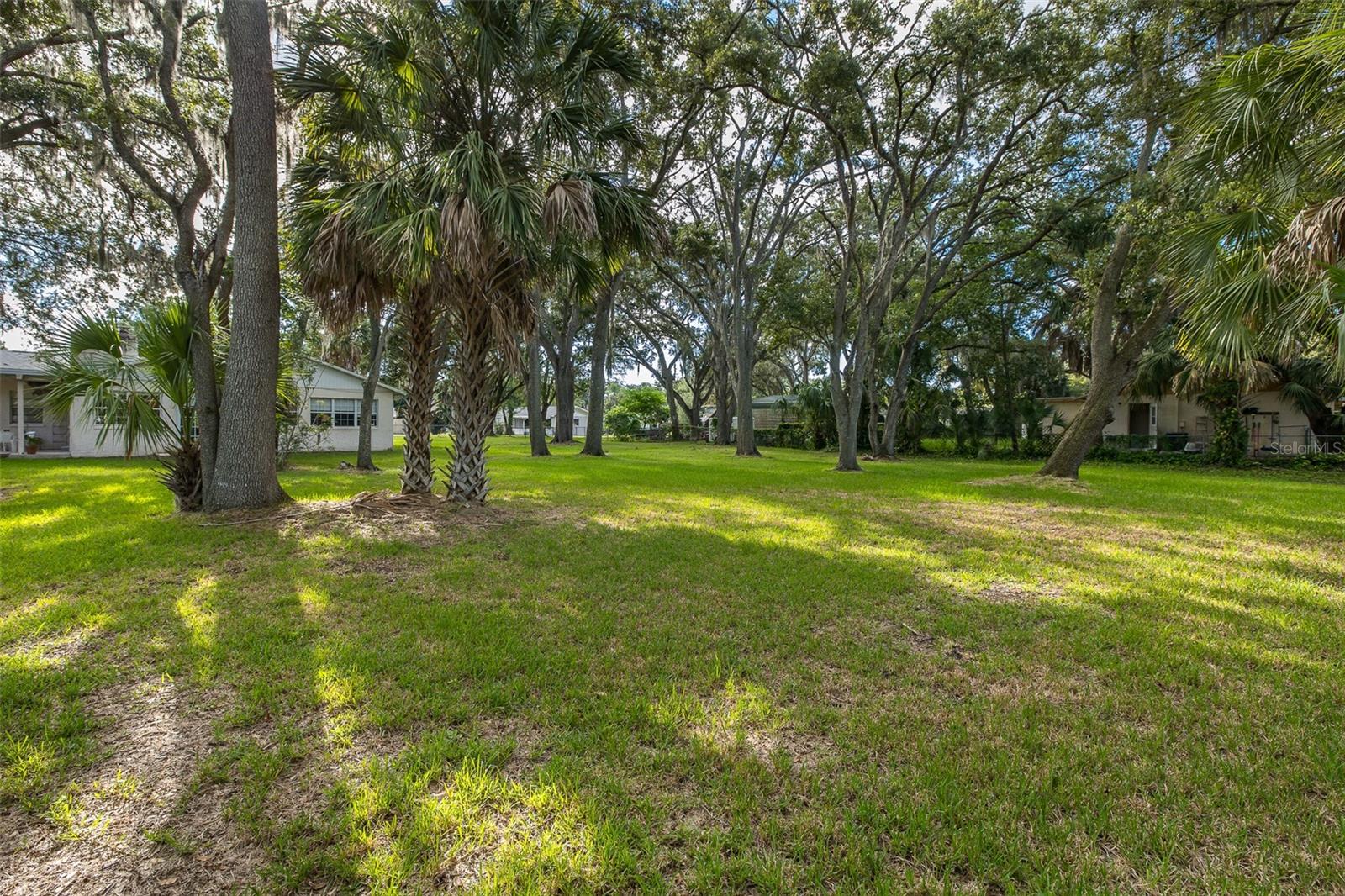 4715 NEEDLE PALM DR