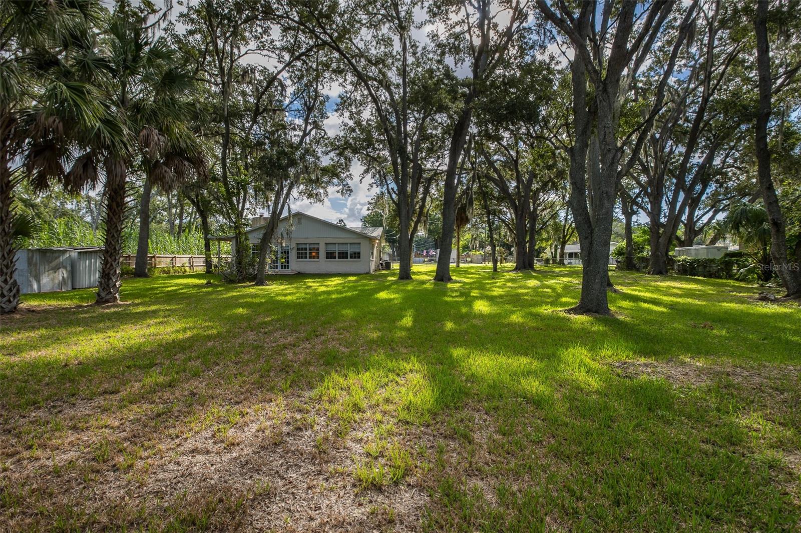 4715 NEEDLE PALM DR