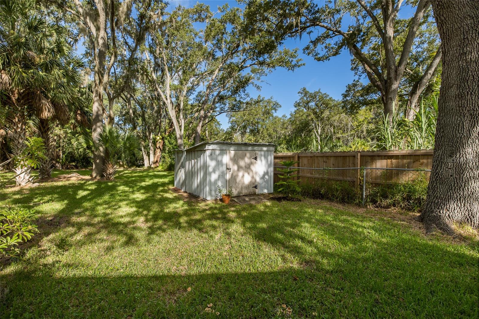4715 NEEDLE PALM DR