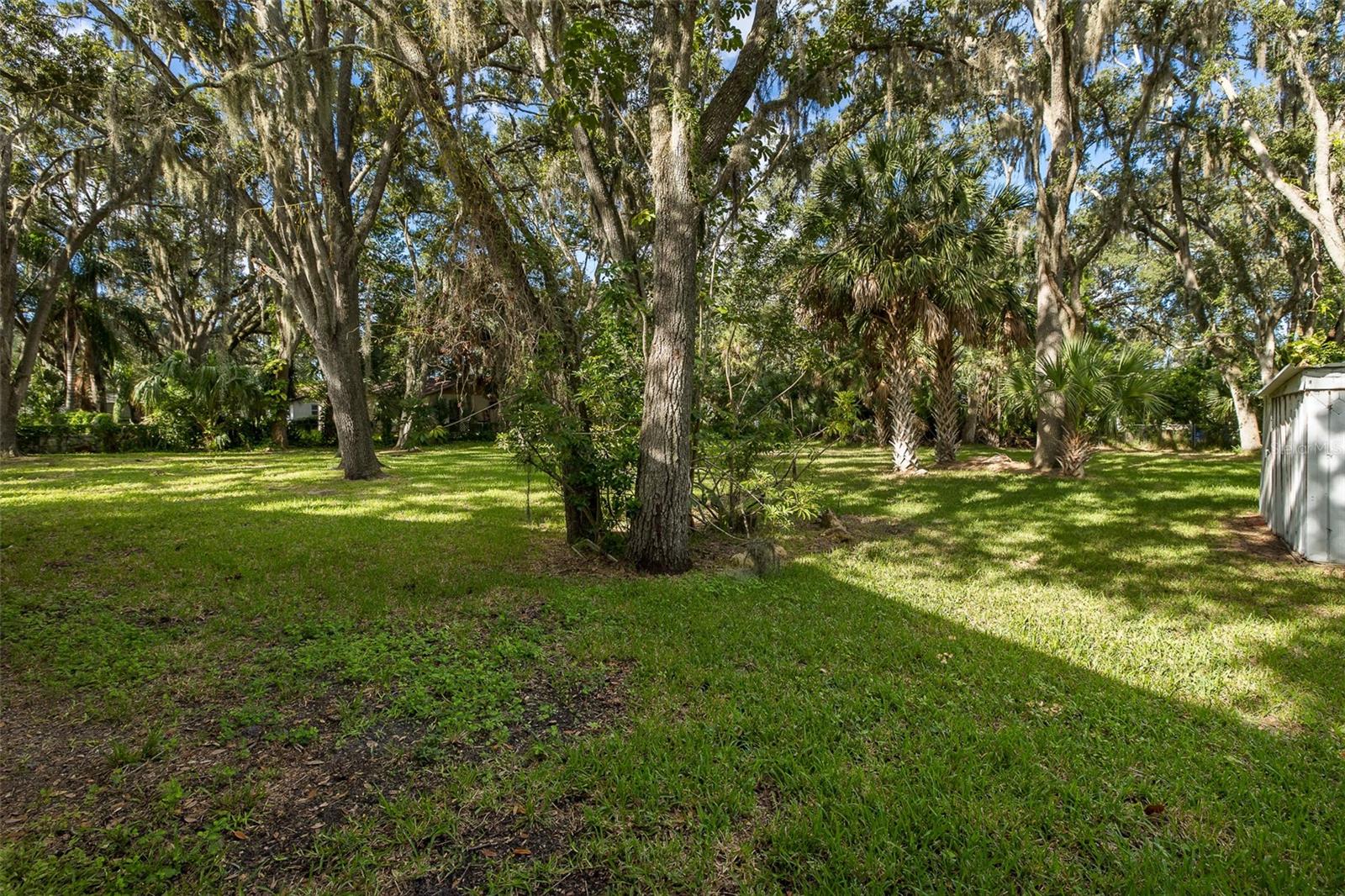 4715 NEEDLE PALM DR