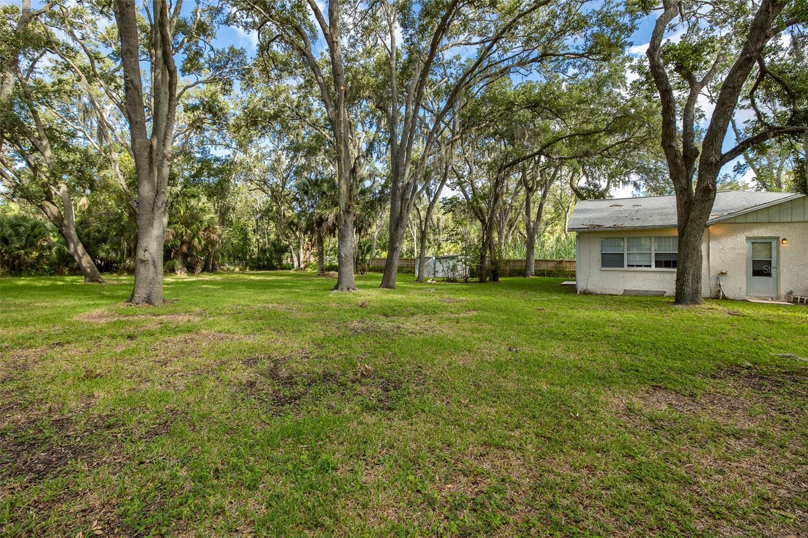 4715 NEEDLE PALM DR