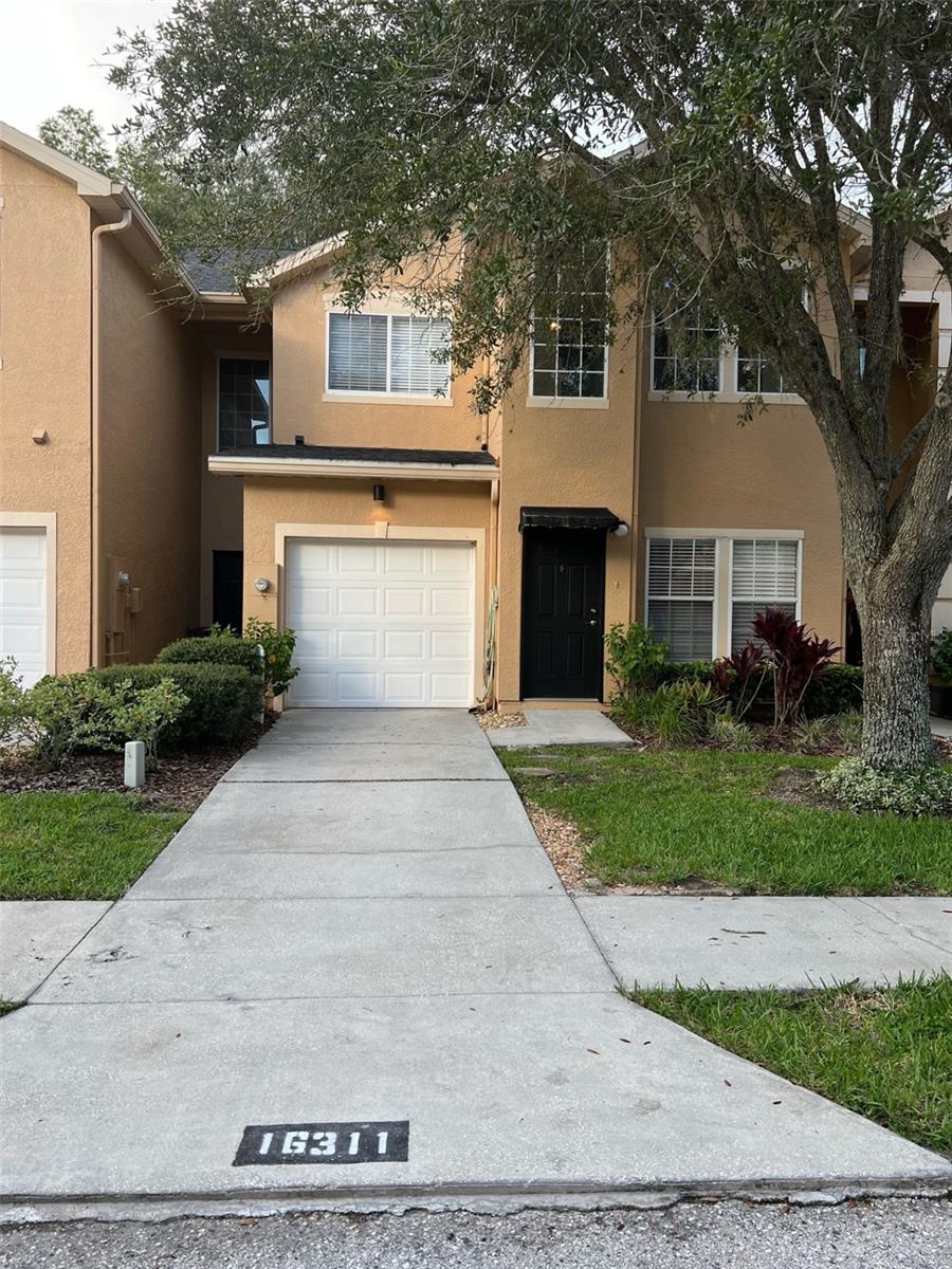 16311 Parkstone Palms Ct, Tampa
