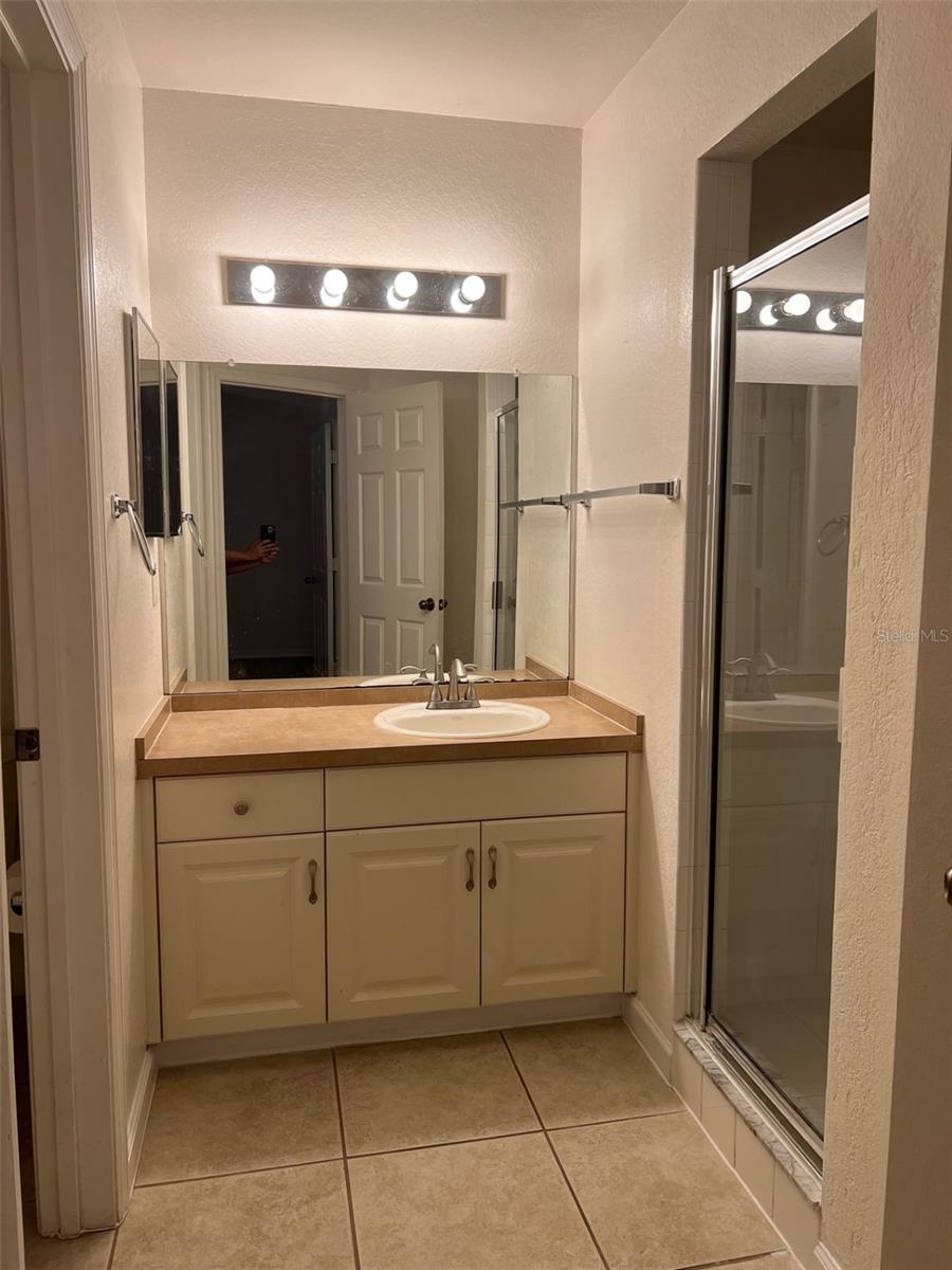16311 PARKSTONE PALMS CT