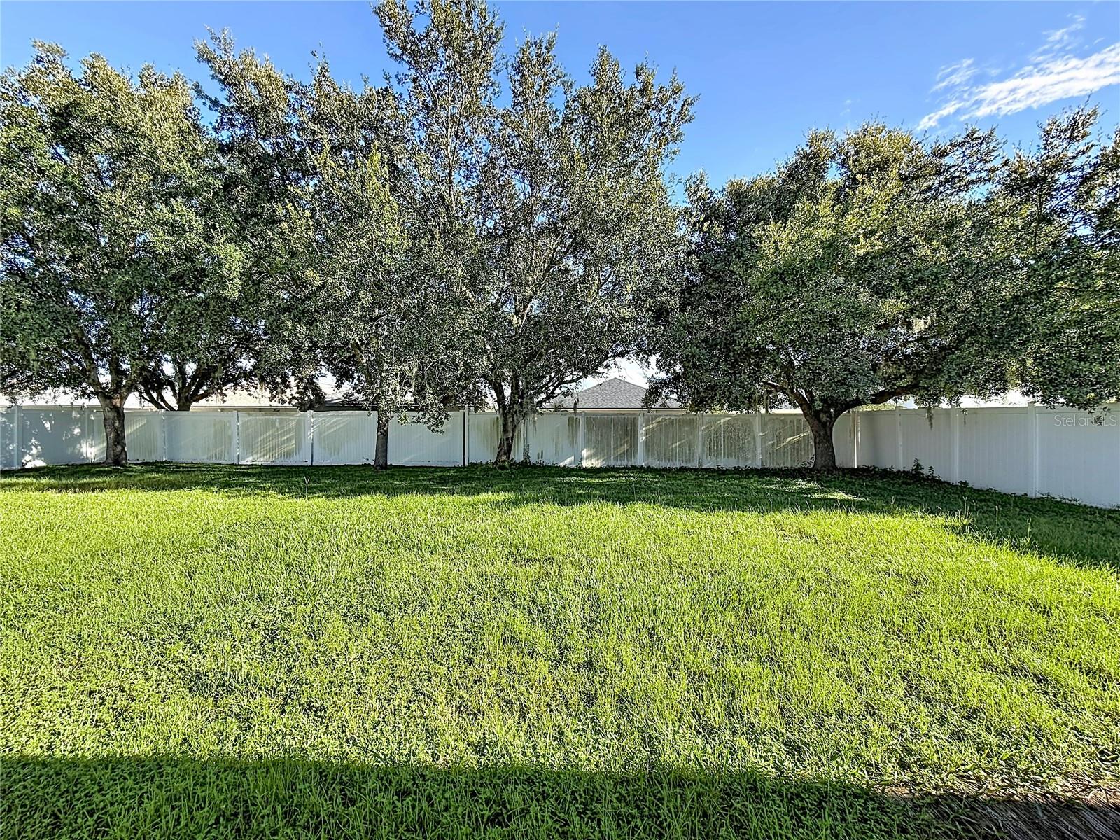 31225 TAGUS LOOP