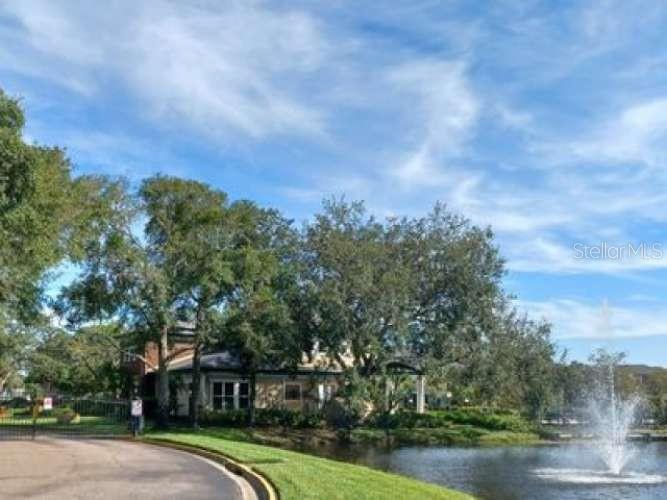 10024 Strafford Oak Ct #807, Tampa