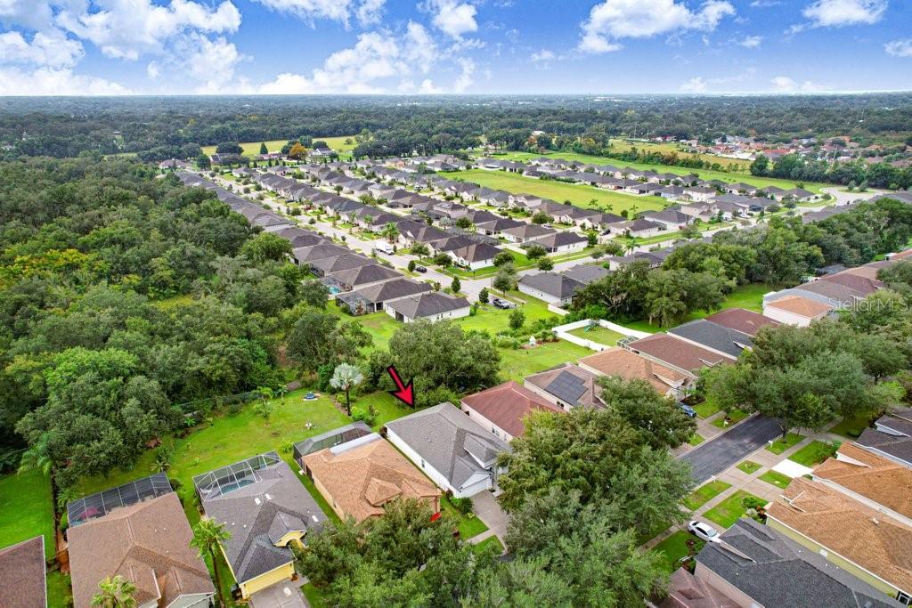 1161 EMERALD HILL WAY
