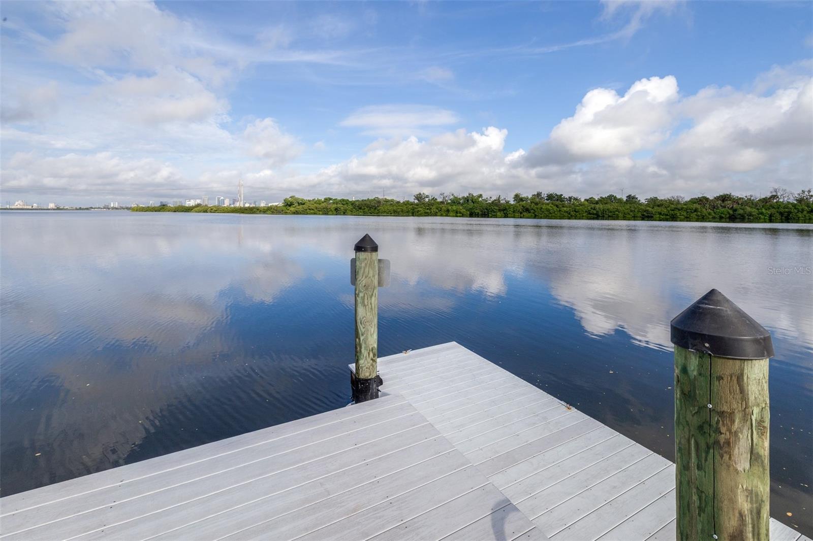 613 WHEATON TRENT PL