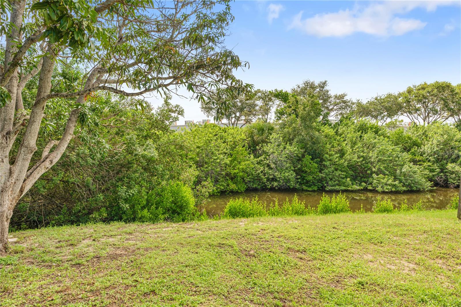 218 LOOKOUT DR