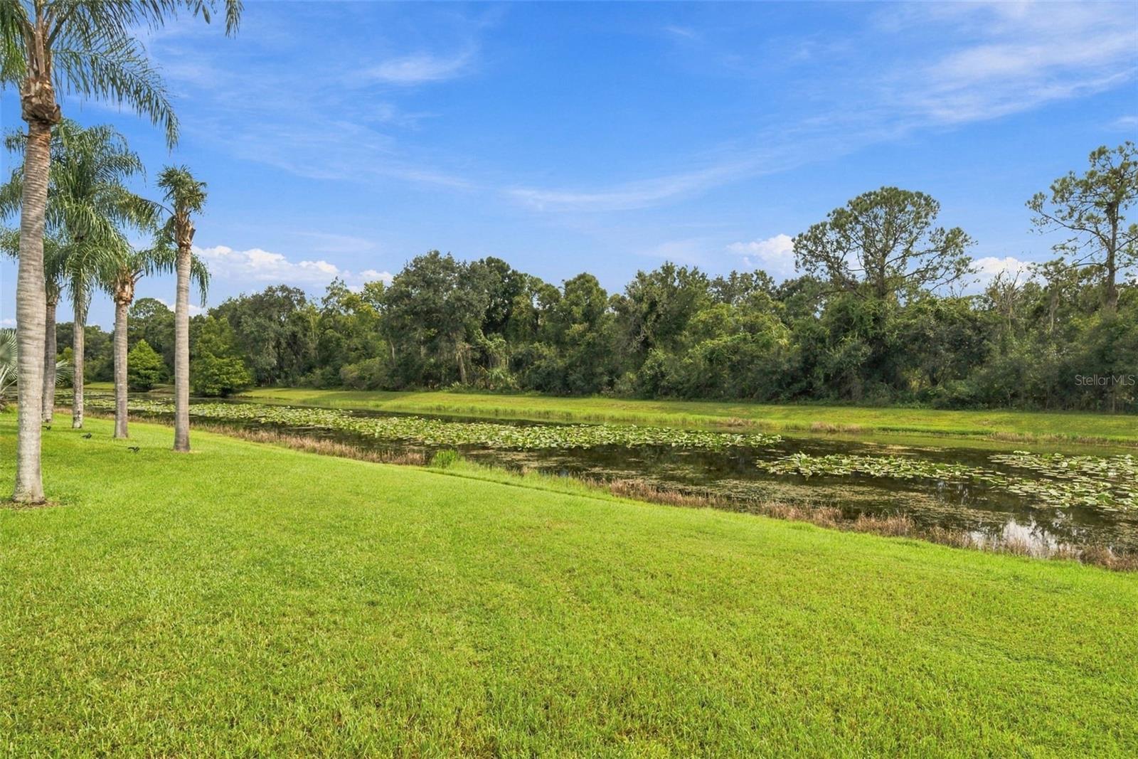 12427 BRISTOL COMMONS CIR