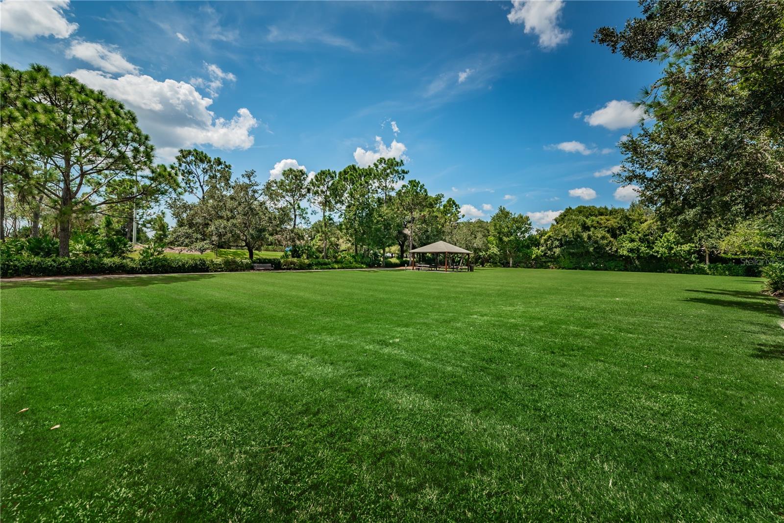 12427 BRISTOL COMMONS CIR