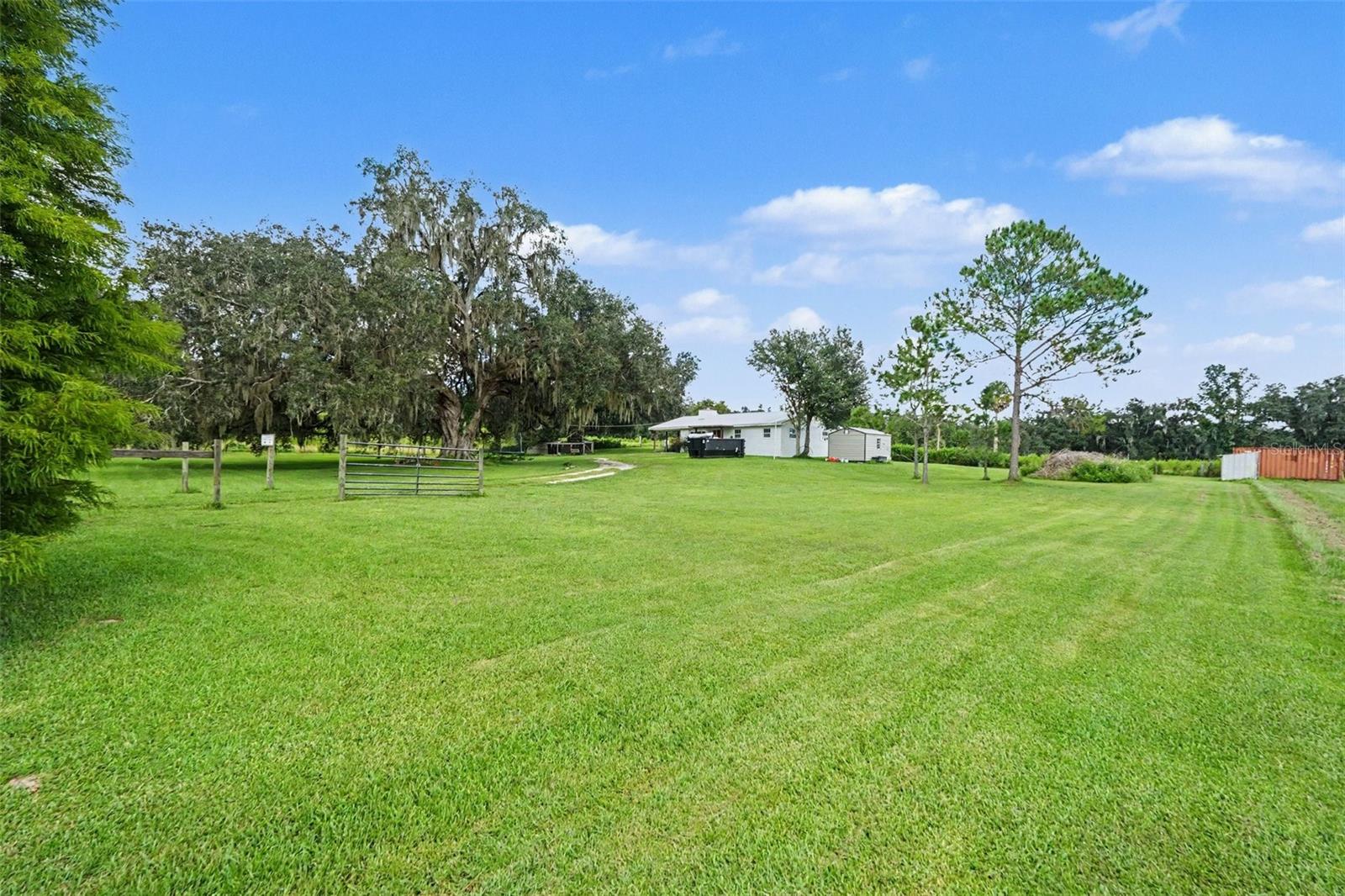 36653 BLANTON RD