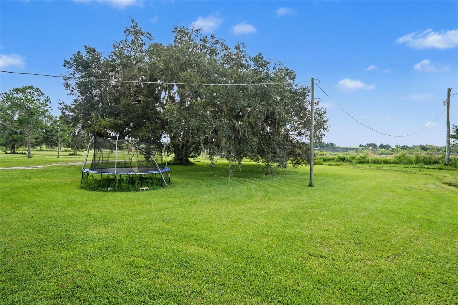 36653 BLANTON RD