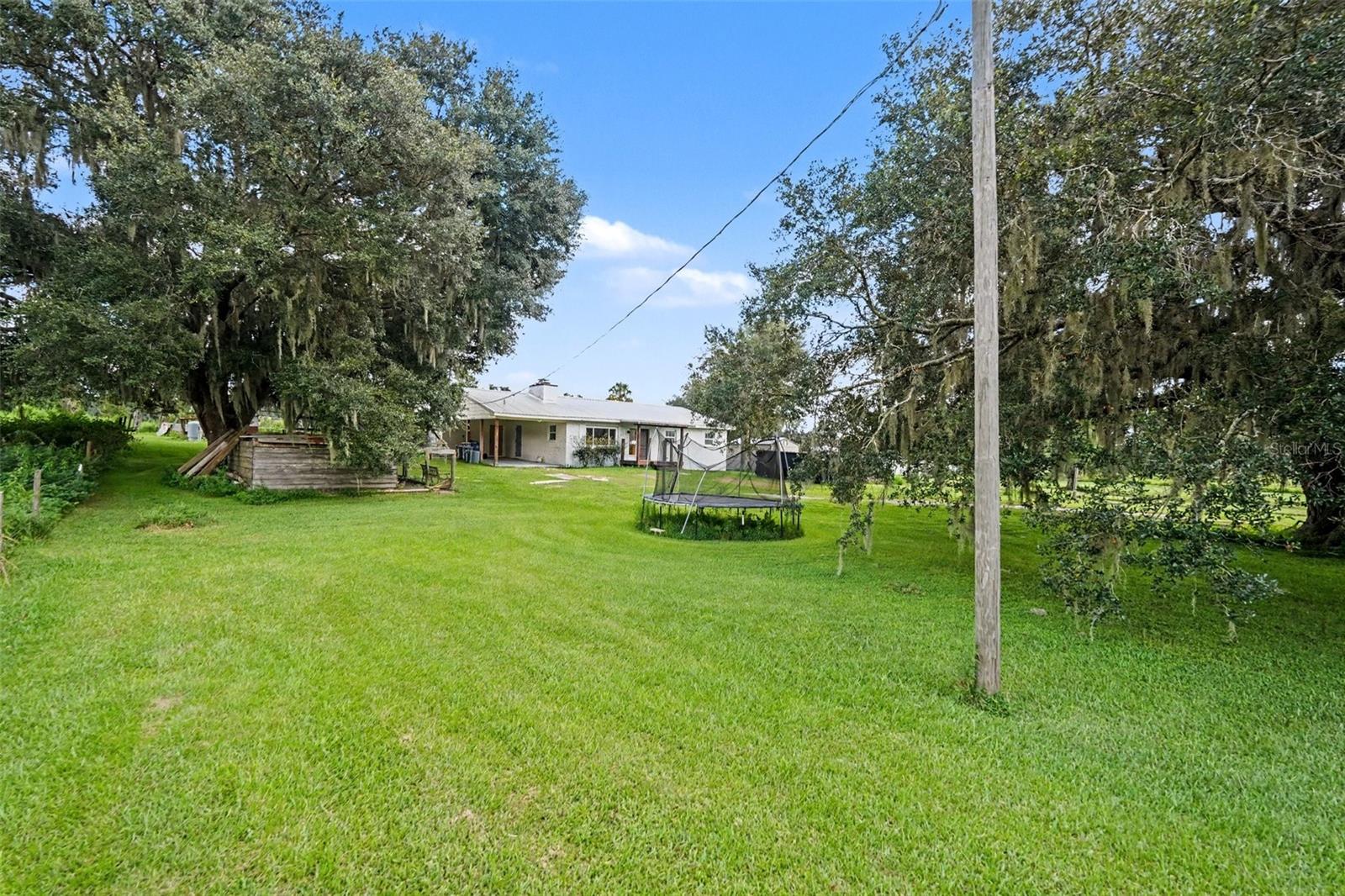 36653 BLANTON RD