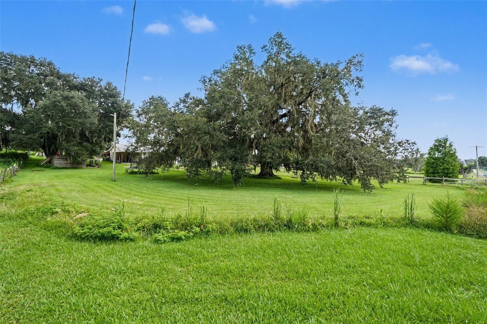 36653 BLANTON RD