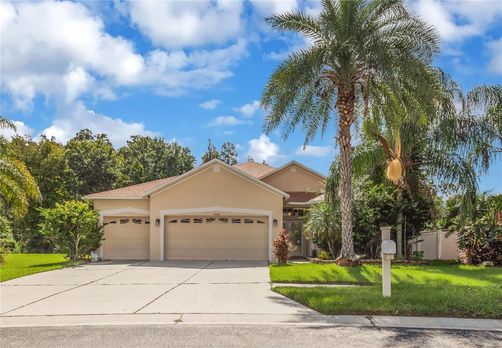 31230 Alchester Dr, Wesley Chapel