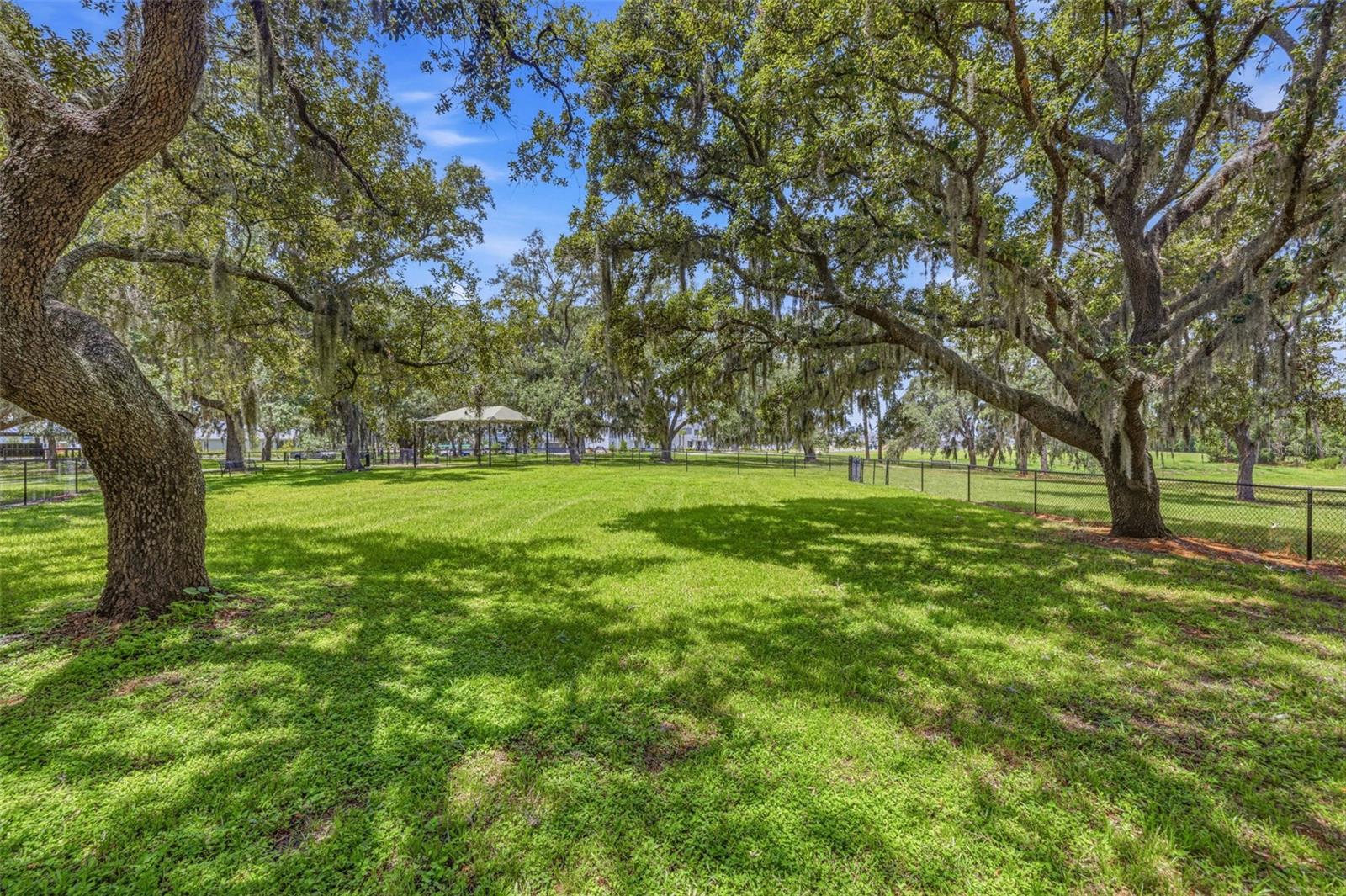 11126 MANOR HOUSE LN