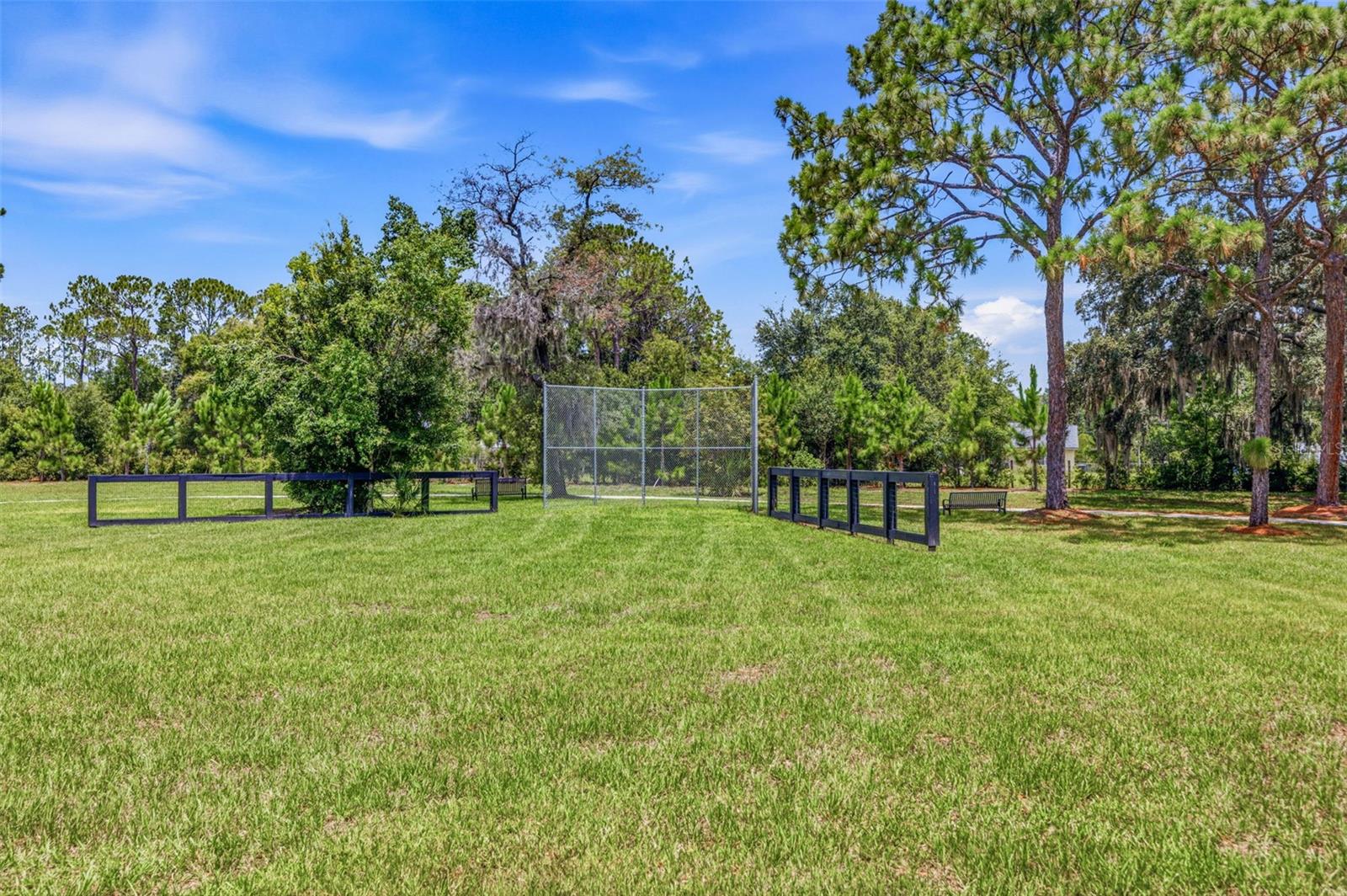 11126 MANOR HOUSE LN