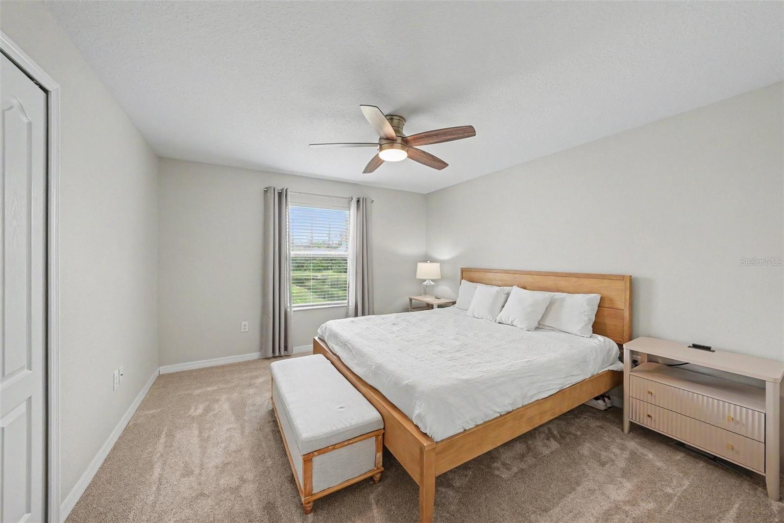 8604 FIDDLELEAF COURT