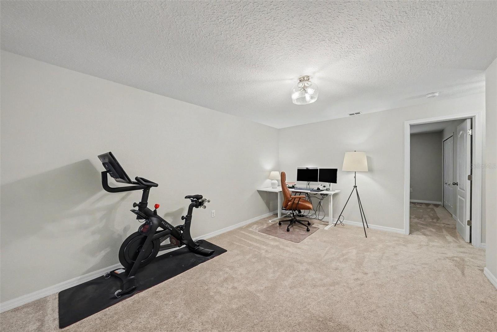 8604 FIDDLELEAF COURT