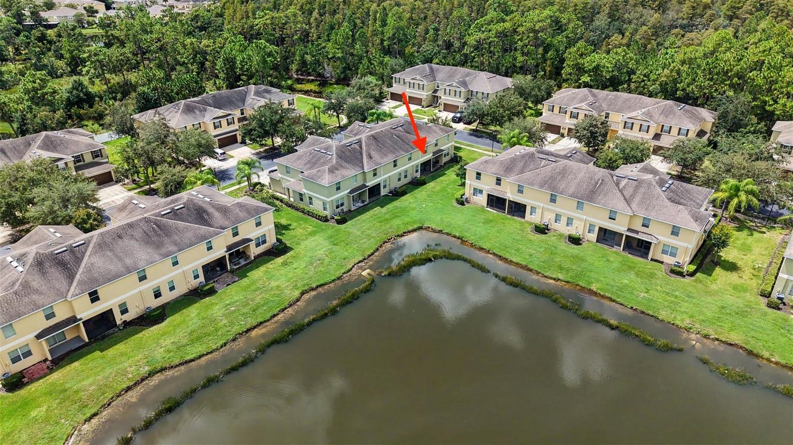 8604 FIDDLELEAF COURT