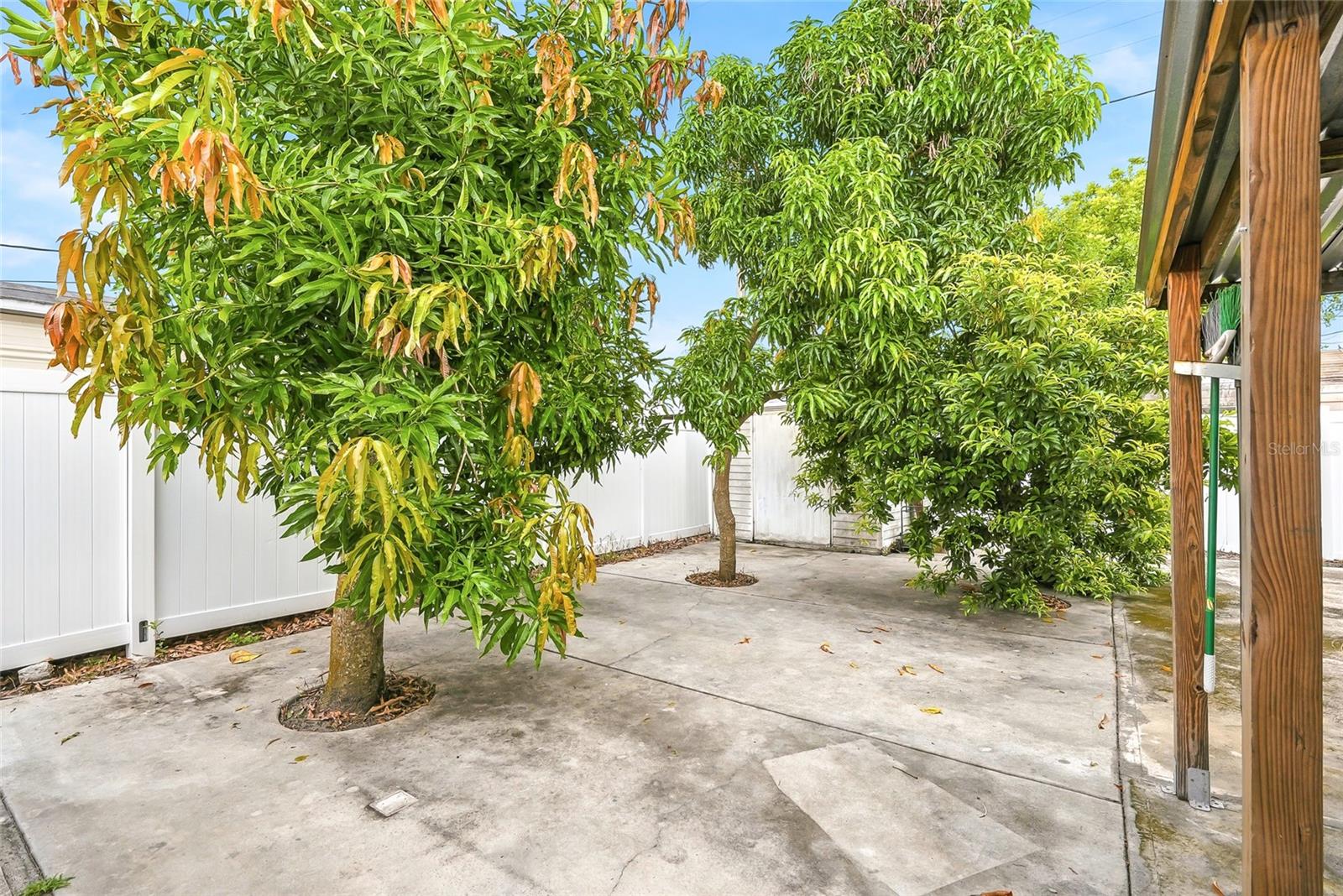 3118 RIVER COVE DR