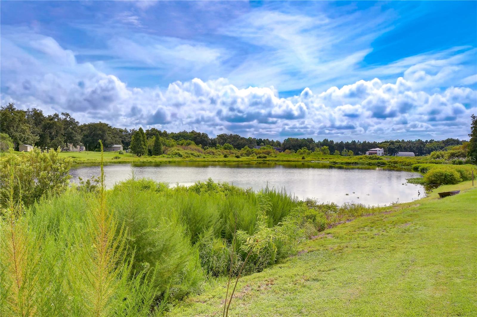 659 TIMBER POND DR