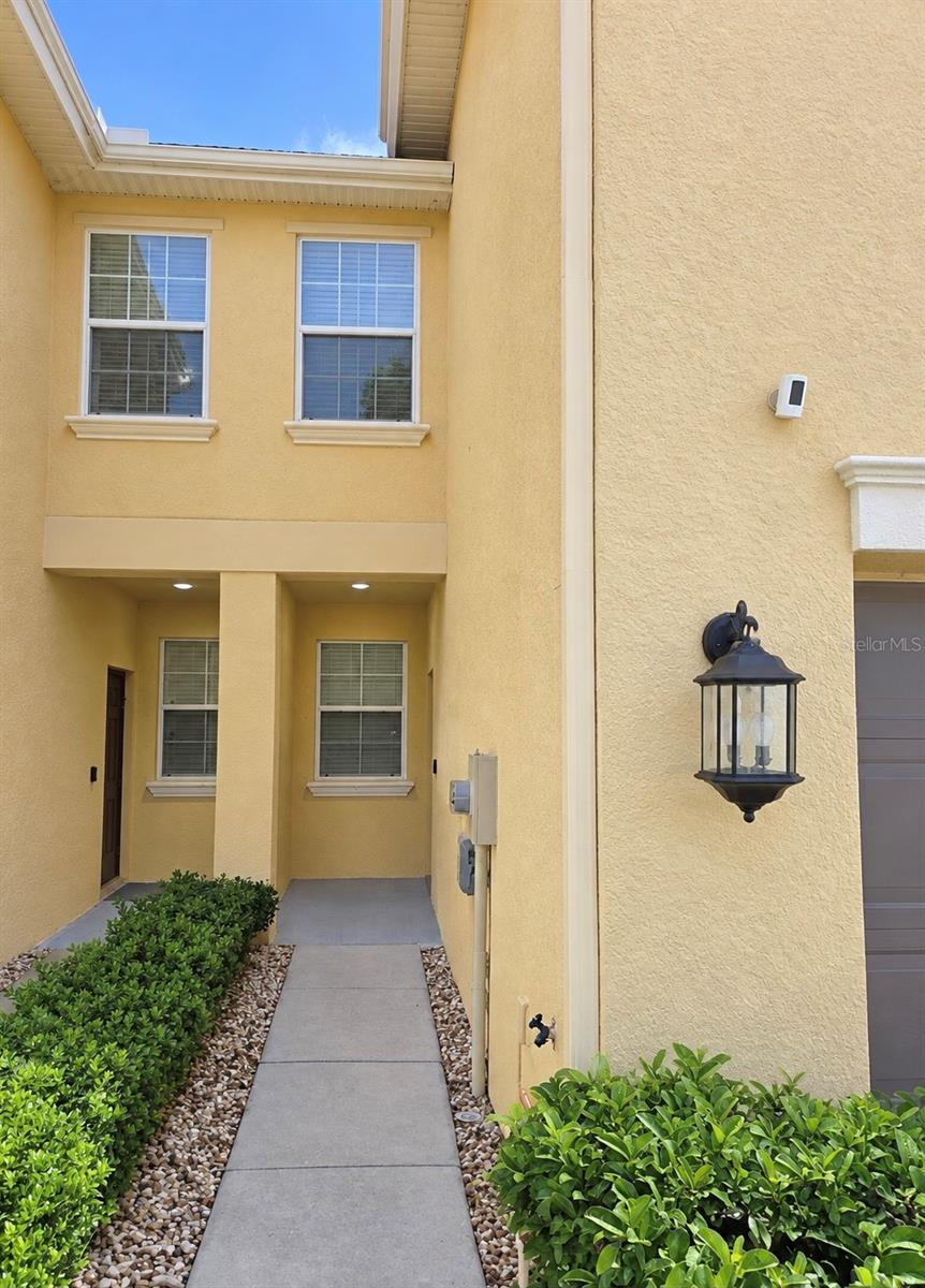 9412 TRUMPET VINE LOOP