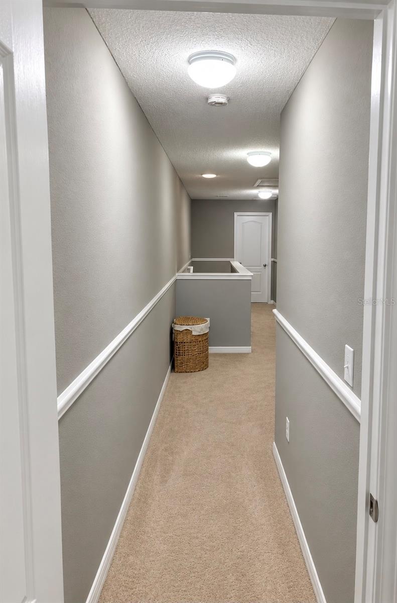 9412 TRUMPET VINE LOOP