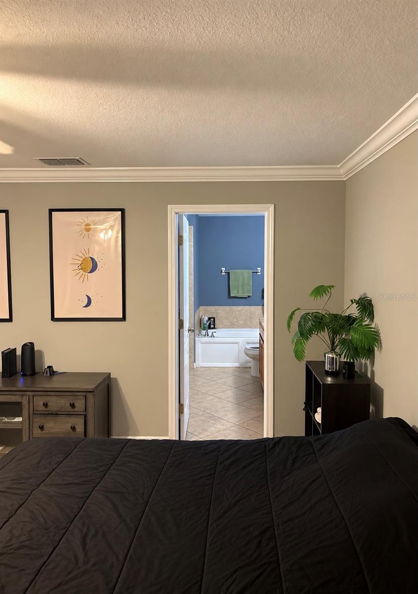 9412 TRUMPET VINE LOOP