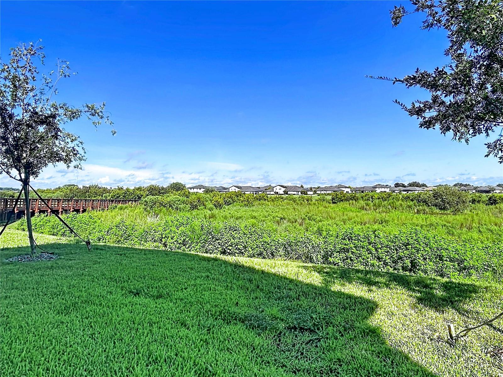 32196 CANNON RUSH DR