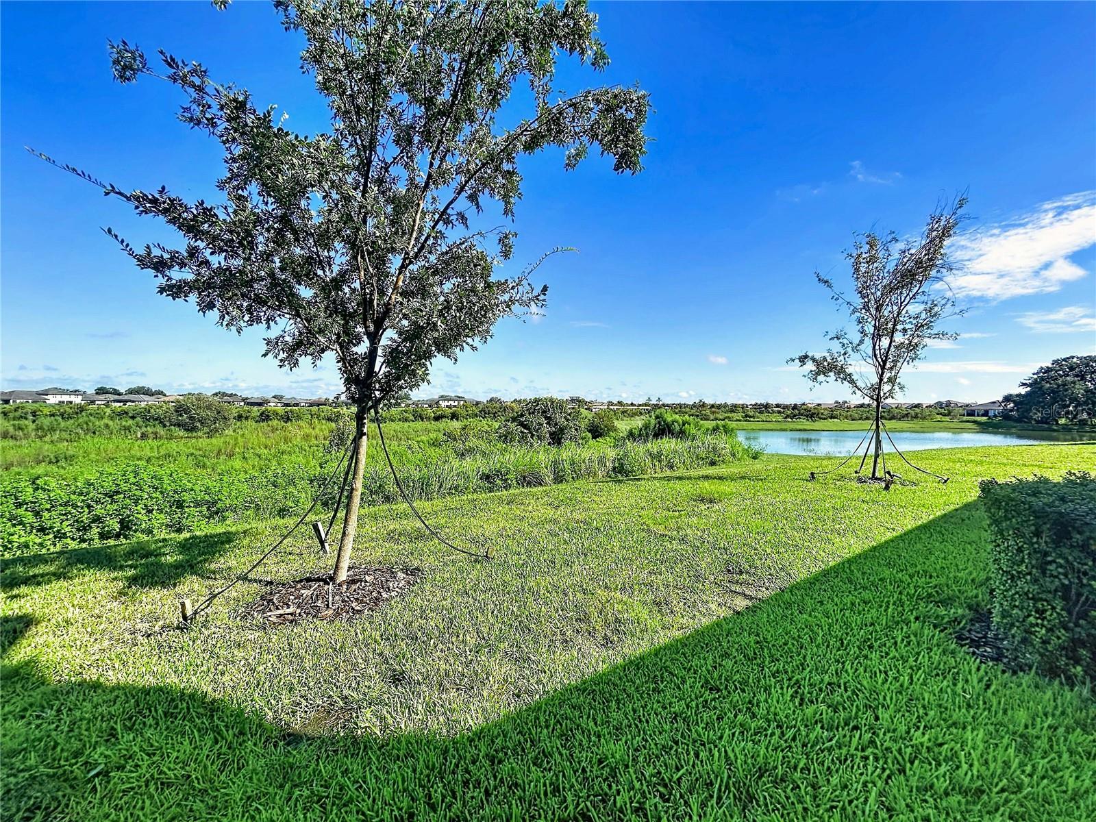 32196 CANNON RUSH DR