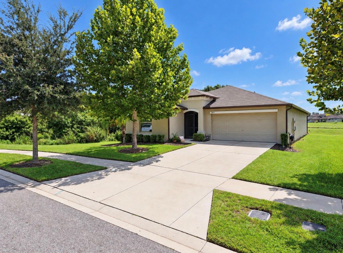 10017 CARAWAY SPICE AVE