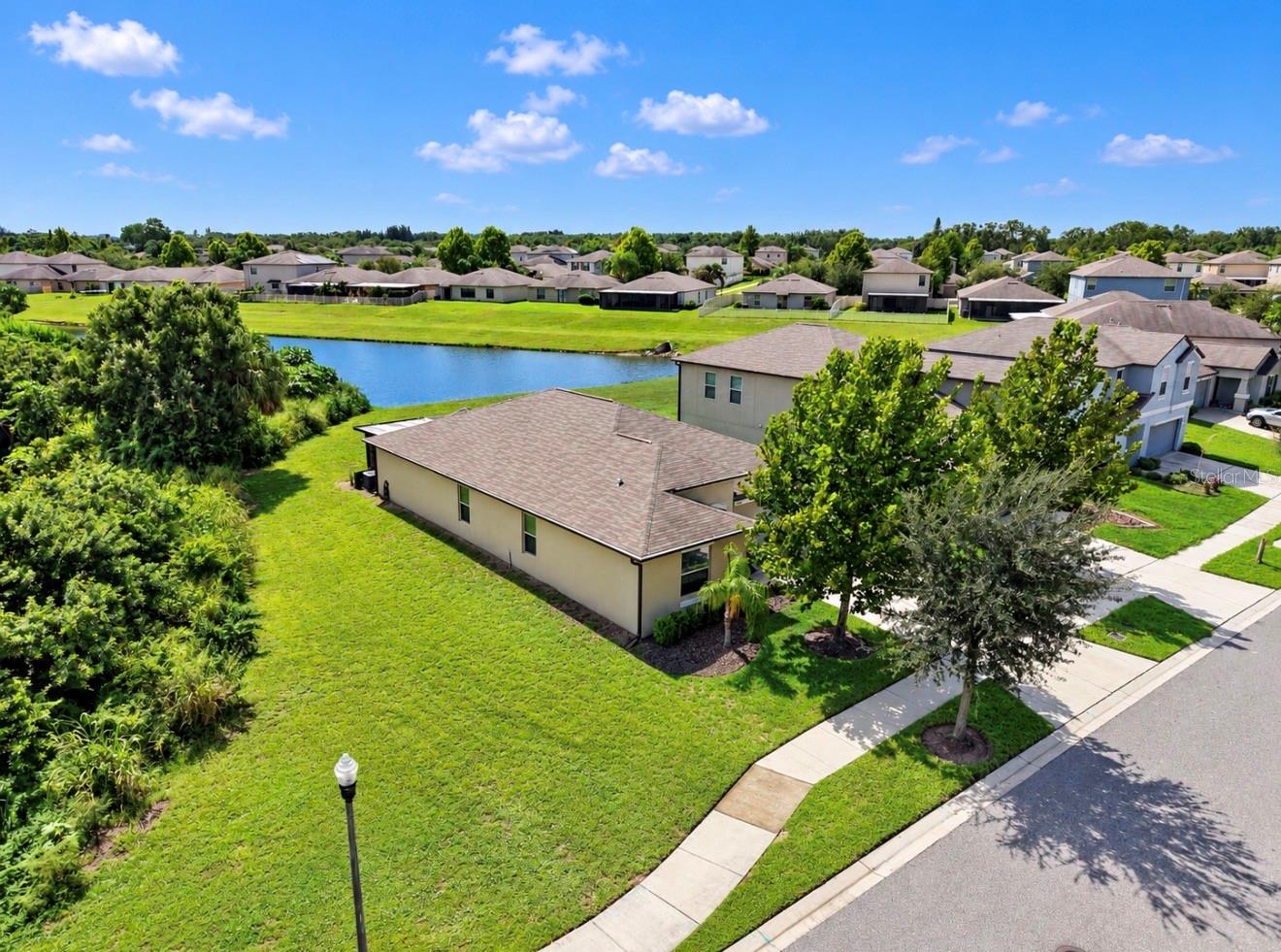 10017 CARAWAY SPICE AVE