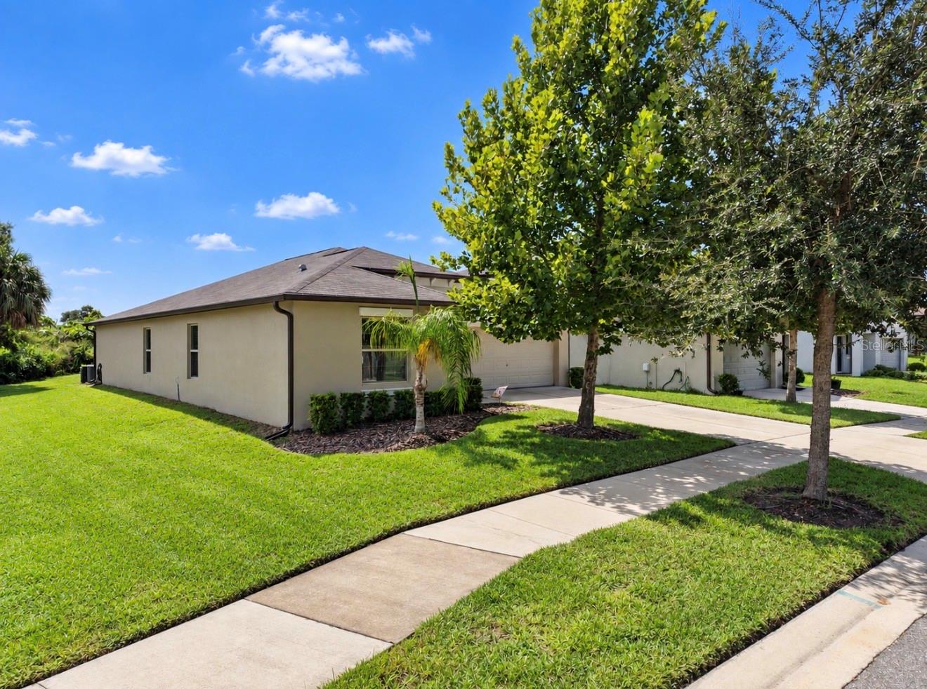 10017 CARAWAY SPICE AVE