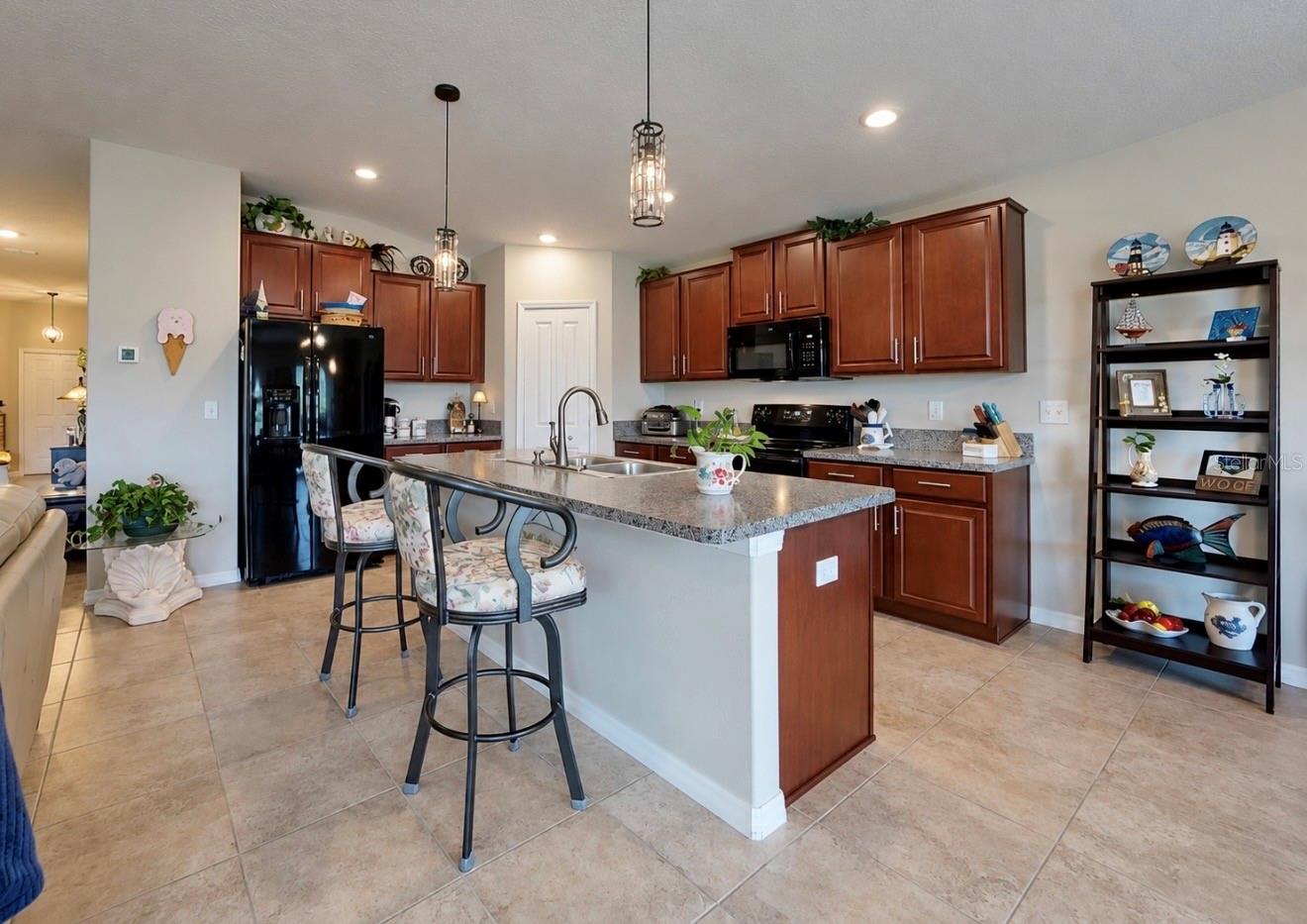 10017 CARAWAY SPICE AVE