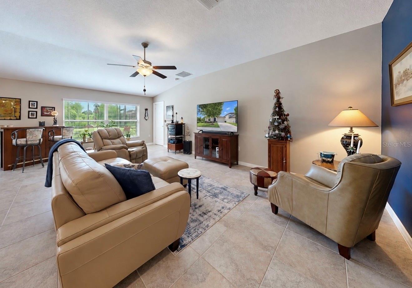 10017 CARAWAY SPICE AVE