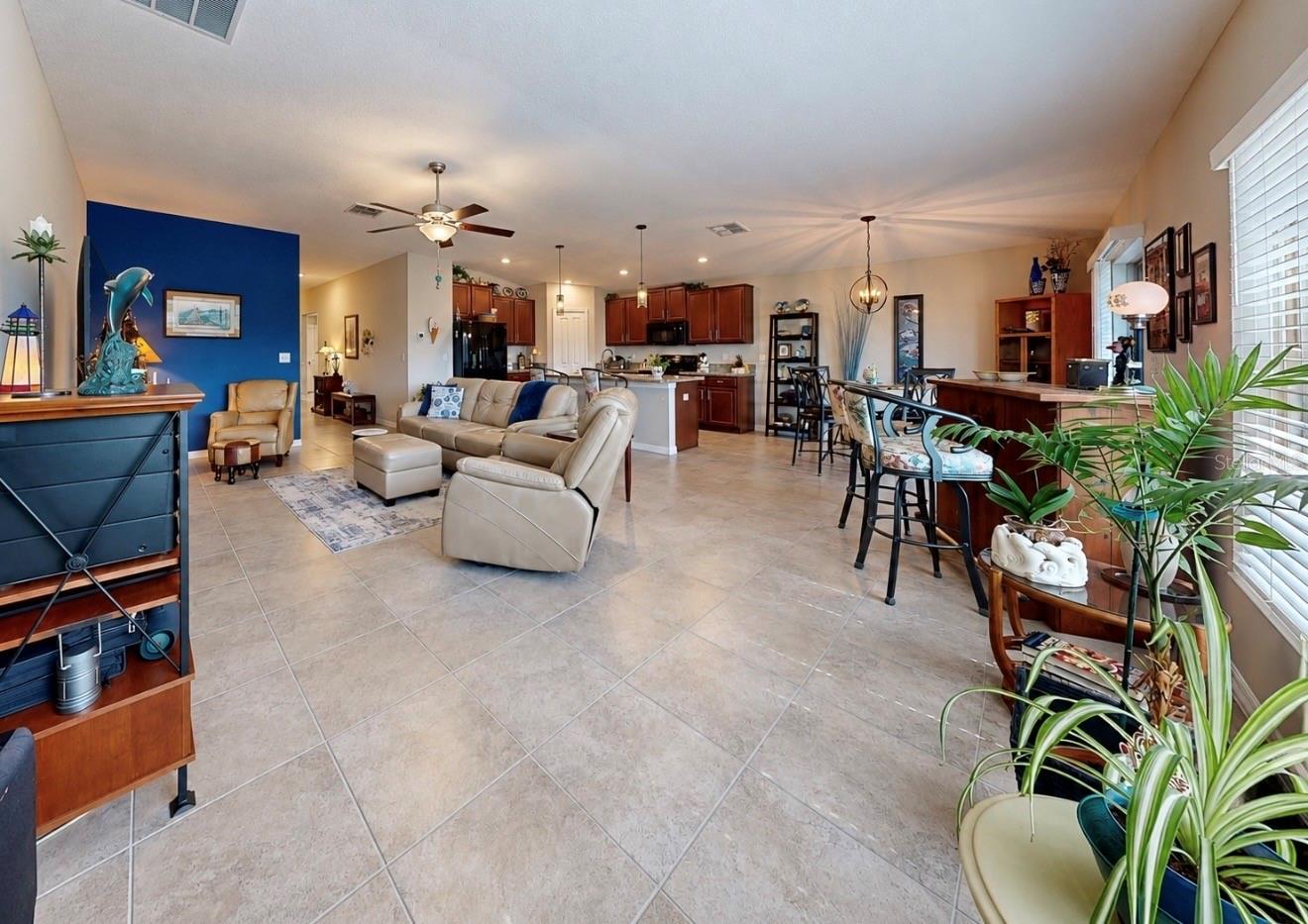 10017 CARAWAY SPICE AVE