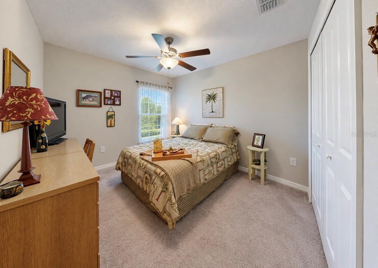 10017 CARAWAY SPICE AVE