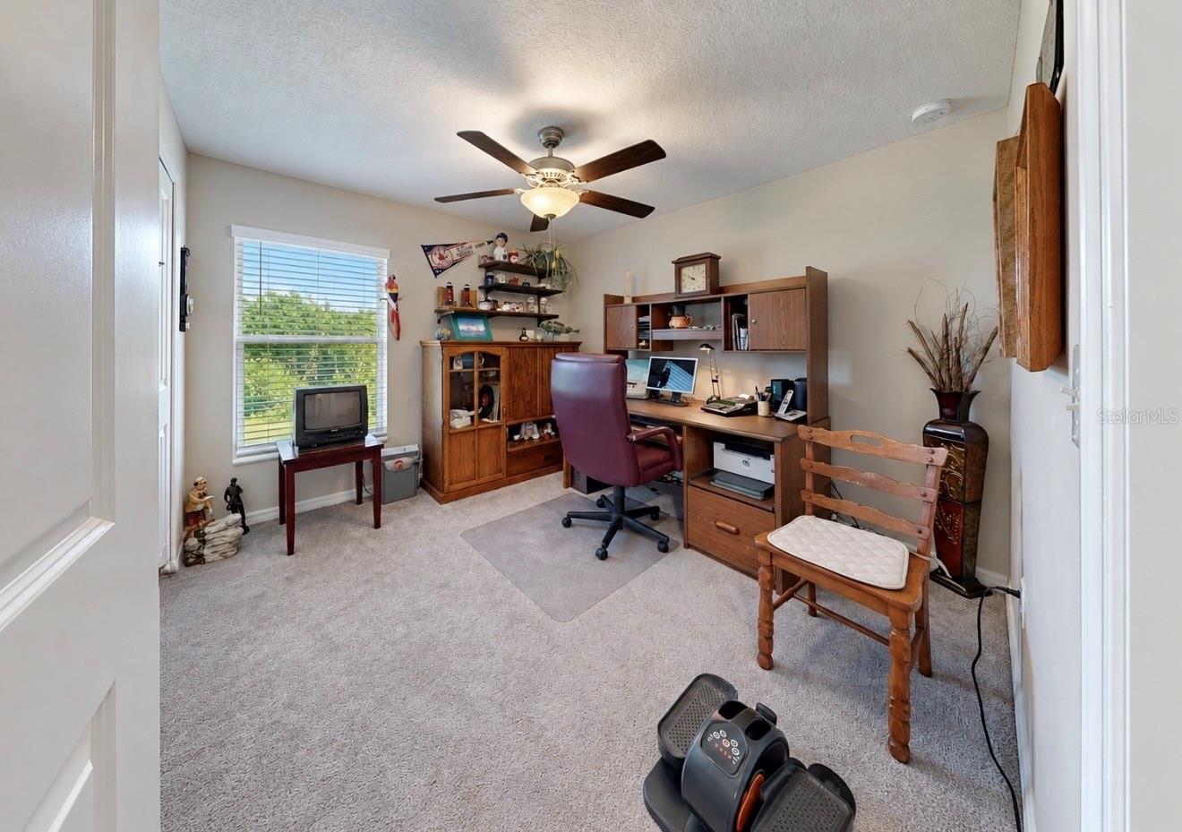 10017 CARAWAY SPICE AVE