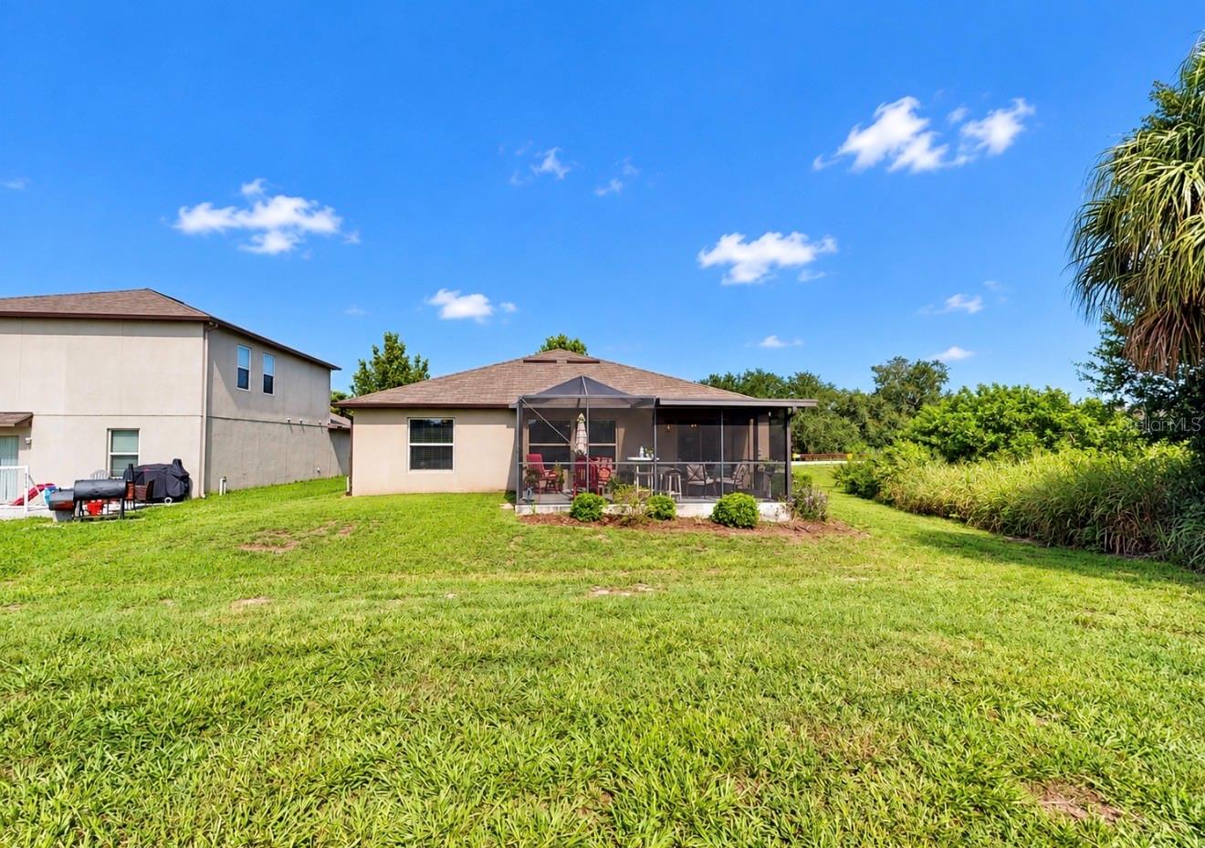 10017 CARAWAY SPICE AVE
