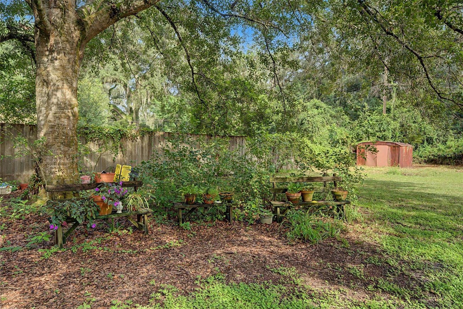3621 OAKWOOD DR